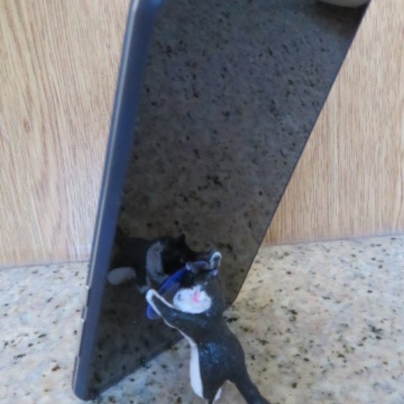 CAT Cell Phone Stand Grip Holder Black & White (F11) - Picture 2 of 4